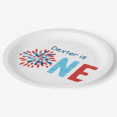 7月4日誕生日  ペーパープレート (アングル)