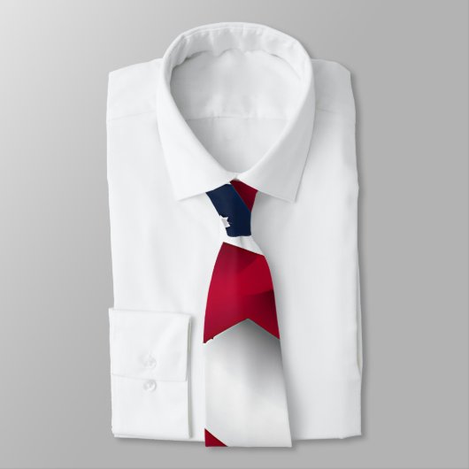 7月4日赤と青 ネクタイ (タイ)