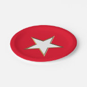 7月4日金ゴールド紅白愛国星 ペーパープレート (アングル)