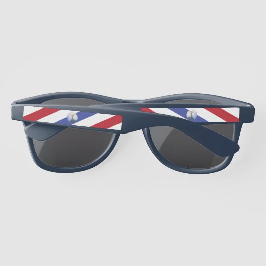 7月4日 サングラス (裏面)