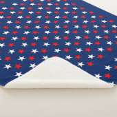 7月4日 シェルパブランケット (3/4)