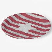 7月4日 ペーパープレート (アングル)