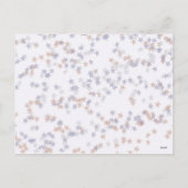 7月4日（火）に花火と旗を掲げたポストカード シーズンポストカード (裏面)