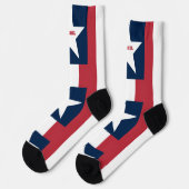 7月4日（金）赤・青の靴下 ソックス (左)