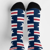 7月4日（金）赤・青の靴下 ソックス (上部)