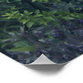 7月4日(82)キャンバス ポスター (角)