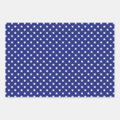 7月4星ストライプフローラ赤白青 ラッピングペーパーシート (正面2)