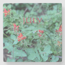 7月 ストーンコースター