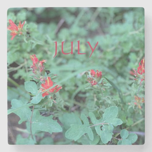 7月 ストーンコースター (正面)