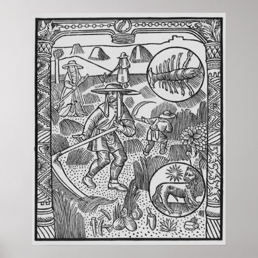 7月，ヘイメイキング，癌 ポスター (正面)