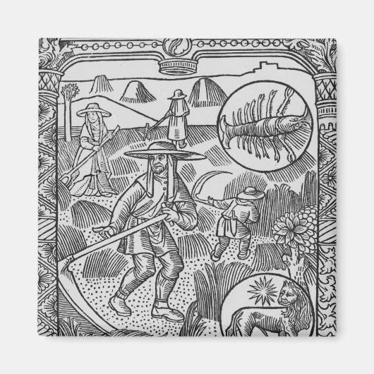 7月，ヘイメイキング，癌 マグネット (正面)