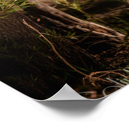 7月 ポスター (角)