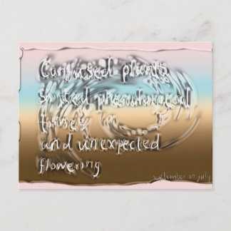 7月 ポストカード