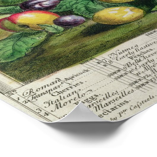 7月， '12ヶ月の果実' ポスター (角)