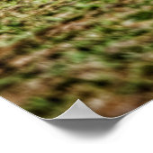 70すごいビー ポスター (角)