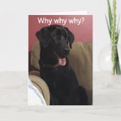 70信じ位の祝誕生日 カード (正面)