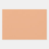 70年代のビーズピーチカラーサマーパターン ラッピングペーパーシート (正面3)