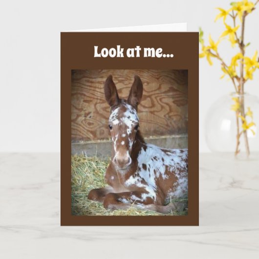 **70誕生日**コメディアウマからの願い カード (黄色い花)