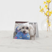 *70誕生日* HA HA (おもしろい犬ユーモア)カード カード (黄色い花)