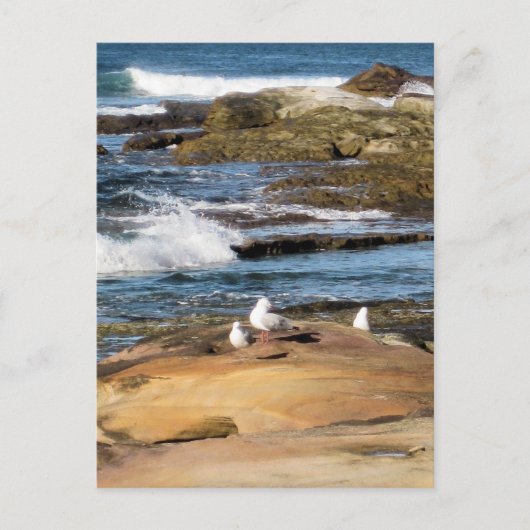 #7001ビーチはがき ポストカード (正面)