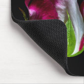 7019 – 赤い先端の白いバラ マウスパッド (コーナー)