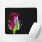 7019 – 赤い先端の白いバラ マウスパッド (マウス)