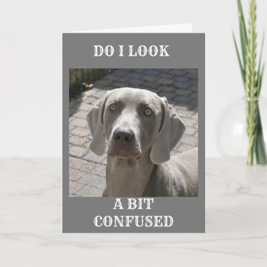 「70」と言えば、WEIMARANER CARD カード (正面)