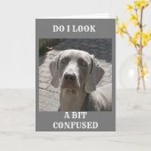 「70」と言えば、WEIMARANER CARD カード (黄色い花)