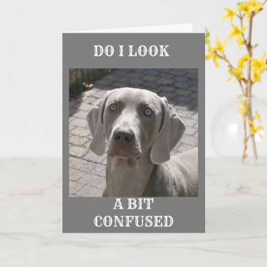 「70」と言えば、WEIMARANER CARD カード (黄色い花)