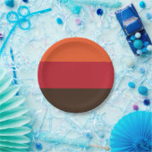 70sレトロ3ストライプのヴィンテージ色パターン ペーパープレート (パーティー)