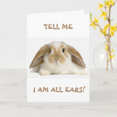 **70th** BIRTHDAY HUMOR FROM *FUNNY BUNNY" Card カード (黄色い花)