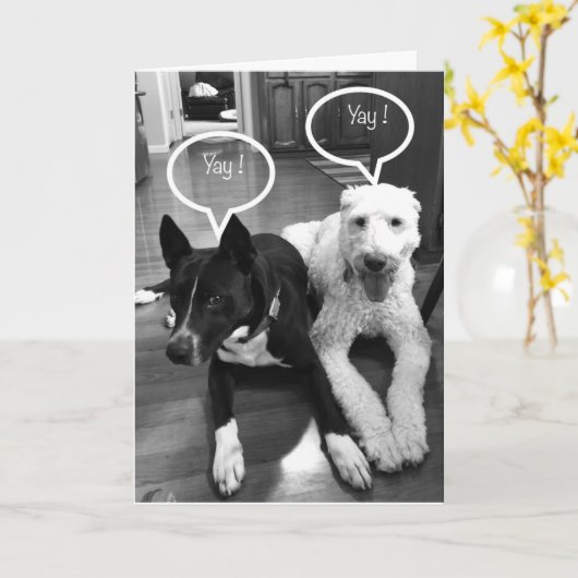 **70th** PUPの誕生日ユーモア カード (黄色い花)