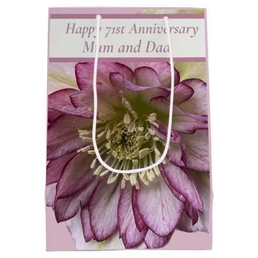 71周年編集可能 ミディアムペーパーバッグ (裏面)