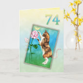 74誕生日と猫よくはしゃぐ カード (黄色い花)