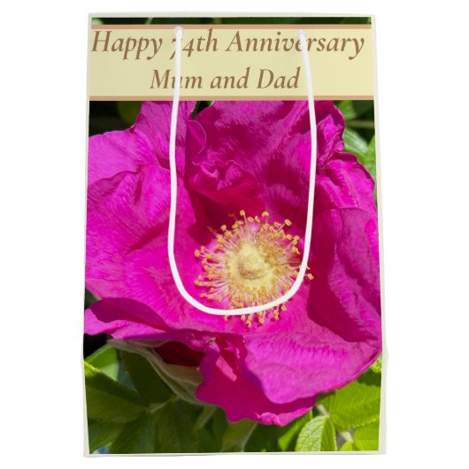 74thアニバーサリー編集可能 ミディアムペーパーバッグ (裏面)