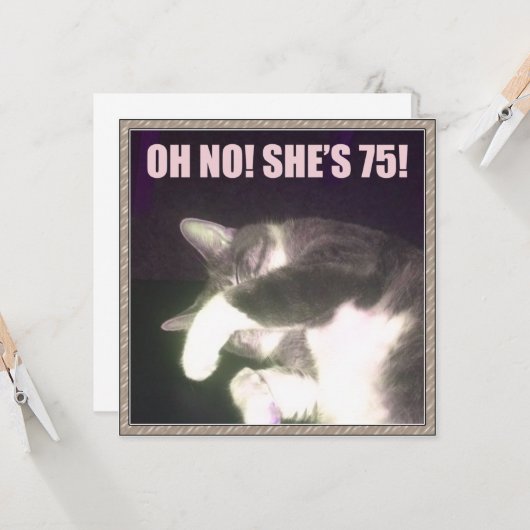 75おもしろい誕生日(Cat) カード (正面/裏面インサイチュ)