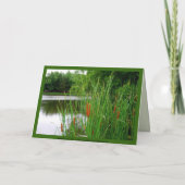 75ハッピーバースデーの猫のしっぽを池に カード (裏面)