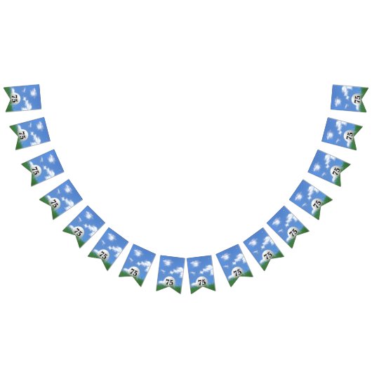 75歳の誕生日の芝生の中のゴルフボール バンティングフラッグ (全)