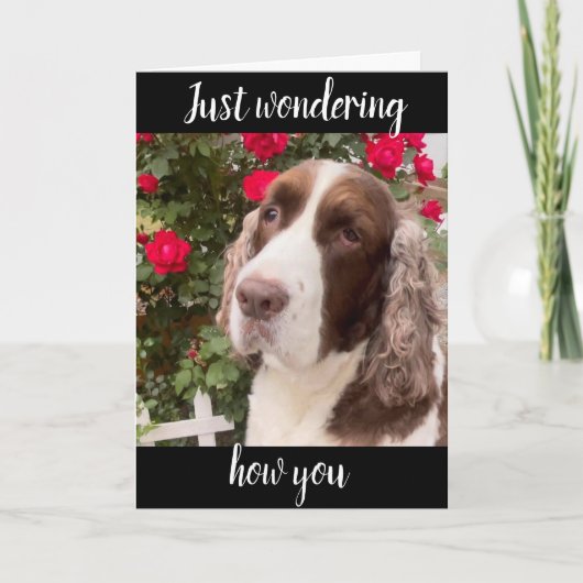 **75thそして常に素晴らしい**!誕生日カード カード (正面)