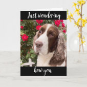 **75thそして常に素晴らしい**!誕生日カード カード (黄色い花)