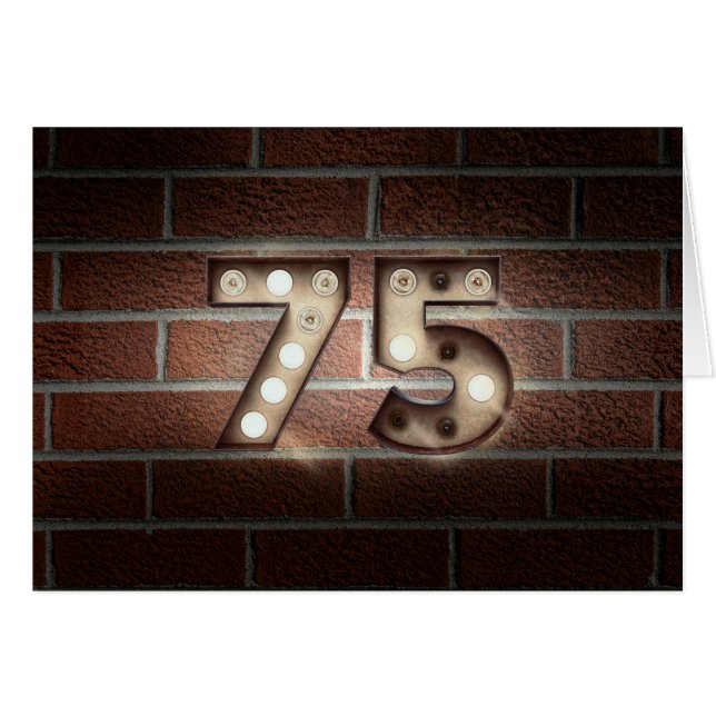 75th birthday-marquee light sign on brick (正面横)