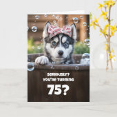 75th Funny Husky Dog Bath Cute Birthday カード (黄色い花)