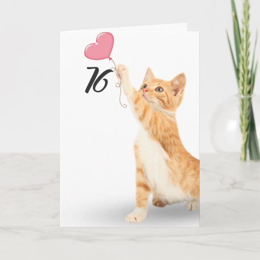 76歳の誕生日キジトラ猫 カード (正面)