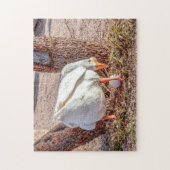 7928 – 卵の上に立つ白いガチョウパズル ジグソーパズル (縦)