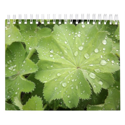 、7"はx11"小さい、2ページ白いカレンダー美化します カレンダー (カバー)