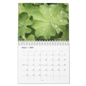 、7"はx11"小さい、2ページ白いカレンダー美化します カレンダー (3月 2027)