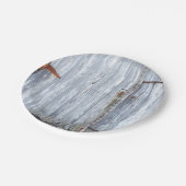 7"ラウンド紙プレートホワイトウォッシュウッドバーンドアCou ペーパープレート (アングル)