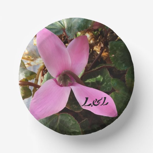 7"紙プレートボウル ペーパーボウル (正面)