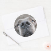 7,6 cm Aufkleber Doggennase ラウンドシール (封筒)