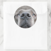 7,6 cm Aufkleber Doggennase ラウンドシール (バッグ)